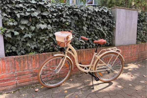 Jasny rower z koszem na tle zieleni